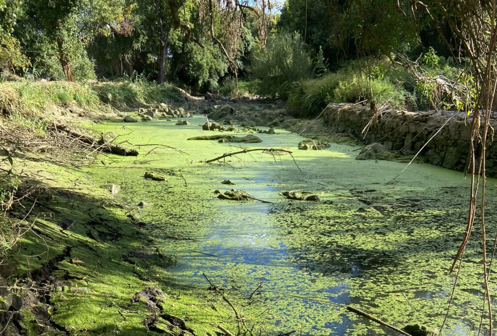 Rio Almansor